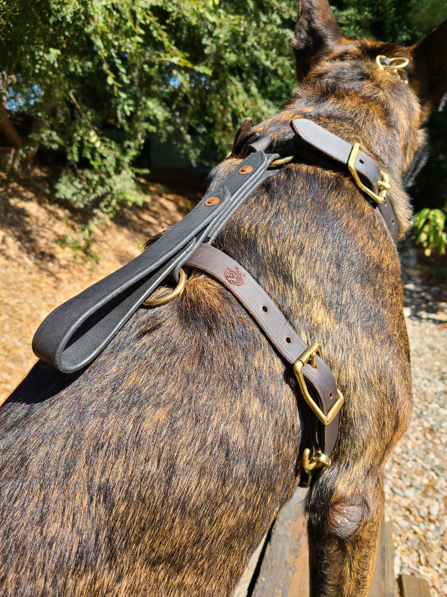 Agitation harness cheap with handle